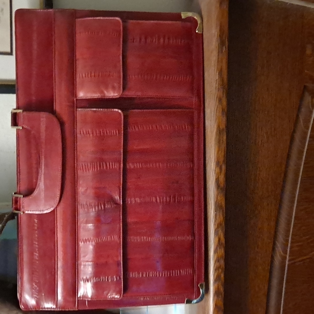 Genuine eel skin briefcase